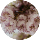 L'AME EN FLEURS Atelier floral